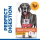 Science Plan Perfect Digestion Adult z kurczakiem i ryżem 2x14 kg