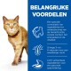 Een gemberkat met groene ogen staat tegen een witte achtergrond. Tekst benadrukt voordelen voor hersenfunctie, energie en spijsvertering.