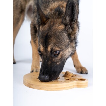Ein flauschiger Hund mit hellbraunem Fell schnüffelt an einem Holzpuzzle-Spielzeug in Form eines Bären, beschriftet mit "TrendPet", auf einem strukturierten Teppich.