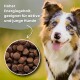 Ein hellfarbener Hund frisst aus einer Edelstahlschüssel mit braunem Futter. Text: "Hoher Energiegehalt für aktive und junge Hunde."