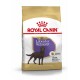Royal Canin Sterilised Labrador Retriever Hundefutterbeutel, mit einer braunen Labrador-Silhouette, mit dem Hinweis, dass es für Hunde über 15 Monate alt ist.