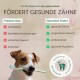 Zahnpflege Zahncreme