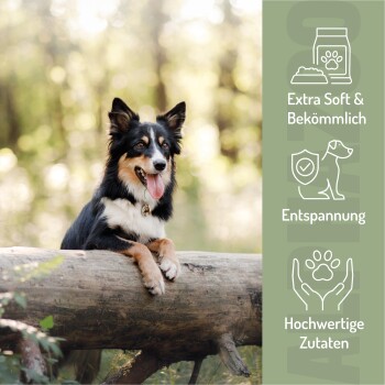 Ein zylindrischer Hundesnackbehälter mit der Aufschrift "ALPHAZOO" und "MICH KANNST DU EINFACH VERFÜTTERN" sowie "IN ALLER SEELENRUHE", umgeben von Leckerlis.