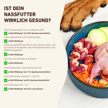 Hundepfote, Schüssel mit rohem Tierfutter (Fleisch, Innereien, Gemüse). Text: 'IST DEIN NASSFUTTER WIRKLICH GESUND?' und 'erfüllt Wildfang®'