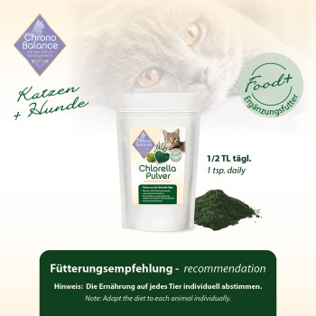 Chlorella-Pulver für Katzen und Hunde in einem weißen Behälter, mit einem Katzenbild auf dem Etikett. Der Text enthält Fütterungsempfehlungen und Dosierung.