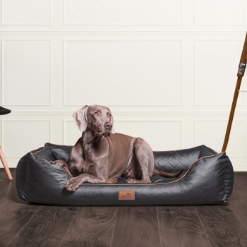 Ein grauer Hund, der auf einem stilvollen schwarzen Haustierbett mit einem Lederetikett entspannt, vor einer hellen Wand und einem Holzboden.