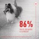 Een blije Shetland Sheepdog aan de lijn, met vetgedrukte tekst '86% van de eigenaren is tevreden*' in het rood, ter promotie van Royal Canin supplementen.