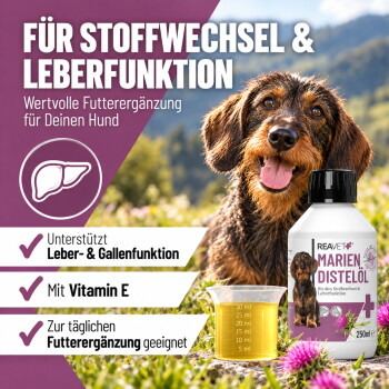 Ein klares Glas, gefüllt mit einer hellgelben Flüssigkeit, die wie Öl aussieht, vor einem weißen Hintergrund.