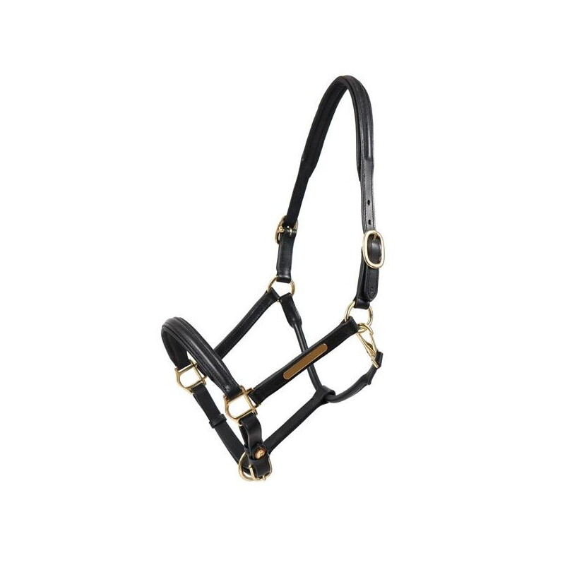 Hans Melzer Horse Equipment Hans Melzer Halfter Hünxe schwarz/messing VB/ COB (Vollblut)