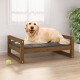 Ein Golden Retriever liegt bequem auf einem Holz-Haustierbett mit einem dunkelgrauen Kissen, neben einem grünen Tennisball und einer Topfpflanze.