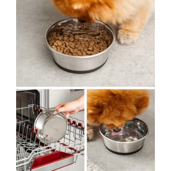 Ein flauschiger orangefarbener Hund frisst Trockenfutter aus einer Edelstahlschüssel auf einer grauen Oberfläche, während eine Hand eine weitere Schüssel in einen "lionto" Geschirrspüler stellt.