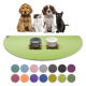 Eine verspielte Anordnung von einem Hund, einer Katze und einem Kätzchen vor zwei Futternäpfen auf einer grünen Matte, mit einer Palette von Farboptionen darunter.