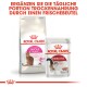 Royal Canin Katzenfutterverpackung mit "Savour Exigent" Trockenfutter und "Instinctive" Nassfutter, mit einer Werbebotschaft auf Deutsch.