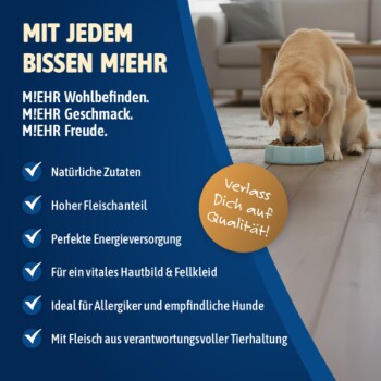 Golden Retriever, der aus einer Schüssel frisst, mit deutschem Text, der die Vorteile von natürlichem, hochwertigem Hundefutter bewirbt.