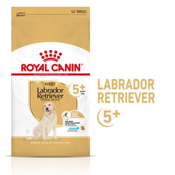 Sac de nourriture pour chien Royal Canin Adult Labrador Retriever, conçu pour les chiens de plus de 5 ans, avec une illustration de golden retriever et des allégations de santé.