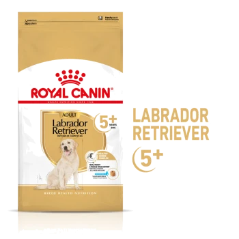 Sac de nourriture pour chien Royal Canin Adult Labrador Retriever, conçu pour les chiens de plus de 5 ans, avec une illustration de golden retriever et des allégations de santé.
