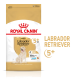 Sac de nourriture pour chien Royal Canin Adult Labrador Retriever, conçu pour les chiens de plus de 5 ans, avec une illustration de golden retriever et des allégations de santé.