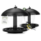 Zwei schwarze Halbkugel-Futterhäuschen mit transparenten Behältern, ein gelb-schwarz gefärbter Singvogel, Anhänger mit der Aufschrift 'Inklusive Aufhängung'.
