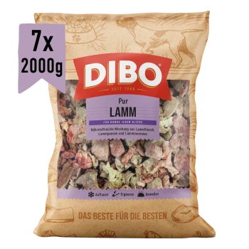 DIBO Lamm-Hundefutterverpackung, 2000g, mit einer Mischung aus gefrorenen Lammstücken, gekennzeichnet als geeignet für empfindliche Hunde.