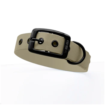 Ein beiger Hundehalsband mit einer schwarzen Schnalle und Löchern zur Anpassung, mit dem Text 'THE DOG IDEA' auf dem Riemen eingeprägt.
