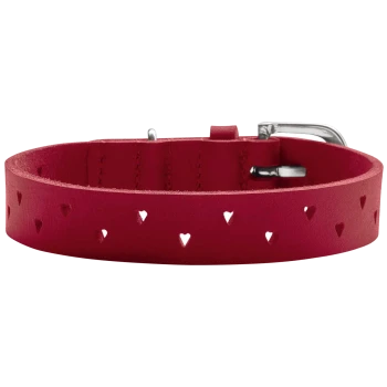 Rotes Leder-Haustierhalsband mit herzförmigen Ausschnitten und einer silbernen Schnalle.