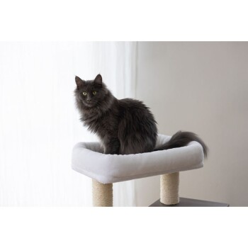 Eine flauschige graue Katze mit leuchtend gelben Augen sitzt auf einer weichen, weißen Katzenliege, umgeben von natürlichem Licht von einem nahegelegenen Fenster.