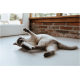 Chat siamois allongé sur le sol jouant avec un jouet suspendu à une ficelle près d'une fenêtre et d'un mur en briques.