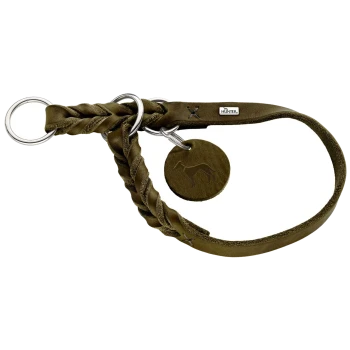 Olivgrüner geflochtener Lederhalsband für Hunde mit silbernen Ringen und einem runden Anhänger mit einer Hundesilhouette.