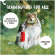 Zwei Hunde im Freien: einer mit einem grünen "Rudelkönig"-Spielzeug, der andere mit einem roten Spielzeug. Der Text erwähnt Trainingsspaß für alle Rassen und Größen.