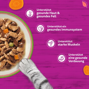 Katzenpfote an einer Schüssel Nassfutter vor magentafarbenem Hintergrund; deutscher Text listet Vorteile: Haut & Fell, Immunsystem, Muskeln, Verdauung.