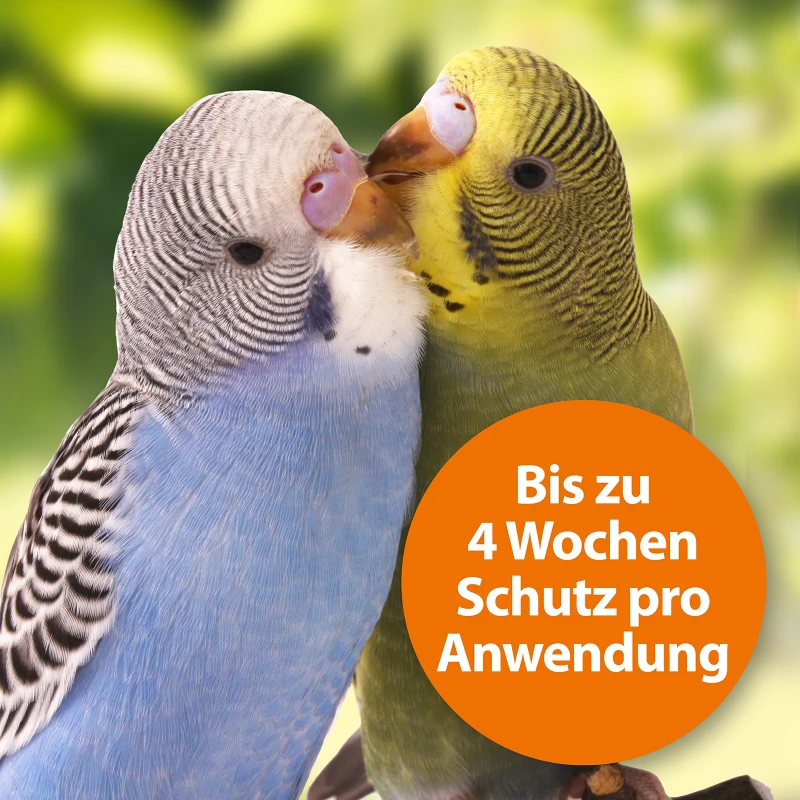 ARDAP Spot-On für Ziervögel & Brieftauben