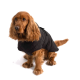 Ein goldener Hund trägt einen stilvollen schwarzen Steppmantel und sitzt vor einem weißen Hintergrund.