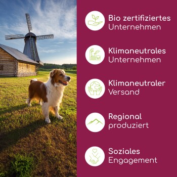 Ein glücklicher Hund steht auf grünem Gras vor einer Holzscheune und einer Windmühle, mit Text, der umweltfreundliche Geschäftspraktiken hervorhebt.
