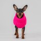 Ein kleiner Hund, der einen leuchtend pinken gestrickten Pullover trägt, vor einem neutralen grauen Hintergrund stehend.