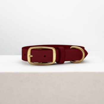 Ein rotes Haustierhalsband mit einer goldenen Schnalle und einer Schlaufe, auf einer hellen Oberfläche vor einem schlichten Hintergrund.