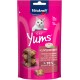 Cat Yums Leberwurst 9x40 g