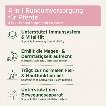 Eine klare Glasschüssel gefüllt mit fein gemahlenem Kräutermix, die einen Hügel aus trockenem, grünlich-braunem Pulver zeigt.