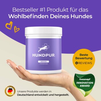 Hand hält ein lila HundPur Hundefutterergänzungsmittel, beschriftet mit 'Nerven + Glückskomplex,' als Bestseller gekennzeichnet und in Deutschland hergestellt.