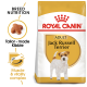 Royal Canin Jack Russell Terrier dog food bag with a small dog illustration, emphasizing breed nutrition and tailored kibble.