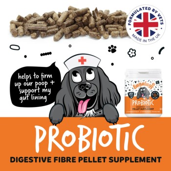 Cartoon-Hund als Krankenschwester mit Glas und Haufen brauner Pellets; Etikett 'PROBIOTIC' und Abzeichen 'Formulated by vets Made in the UK'