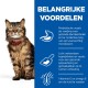 Een tabby kat in een rode halsband zit naast een blauw paneel met voordelen voor darmgezondheid, spijsvertering en huidvoeding.