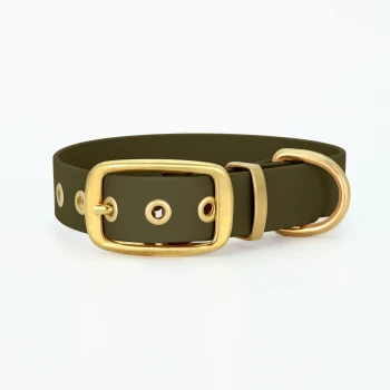 Biothane Halsband Gold Khaki S Olivgrüner Haustierhalsband mit einer goldenen Schnalle und einem Metallring, mit dekorativen Löchern entlang des Riemens.
