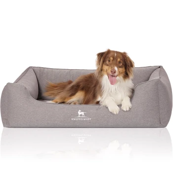 Ein komfortables graues Hundebett mit einem weißen Logo, das "KNUFFELWUFF" liest, mit einem glücklichen Hund, der darauf entspannt.