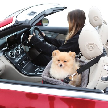 Siège Auto Pour Chien - Panier pour chien en voiture