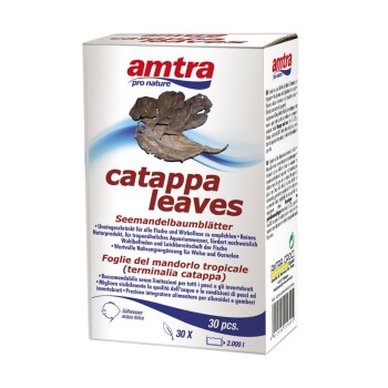 Catappa Leaves S 30 Stück