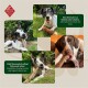 Vier Bilder von Hunden, die Stöcke kauen, mit Text über die Vorteile: 'Schützt Möbel' und 'Stärkt die Kaumuskeln, unterstützt die Zahngesundheit.'