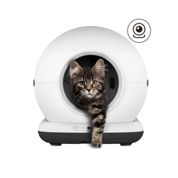 Getigertes Kätzchen steigt aus weißer kugelförmiger automatischer Katzentoilette; Webcam-Symbol oben rechts.