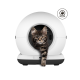 Getigertes Kätzchen steigt aus weißer kugelförmiger automatischer Katzentoilette; Webcam-Symbol oben rechts.