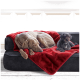 Ein grauer Weimaraner und ein kleiner schwarzer Pudel ruhen sich auf einer schwarzen Couch aus, die mit einer roten Decke bedeckt ist.