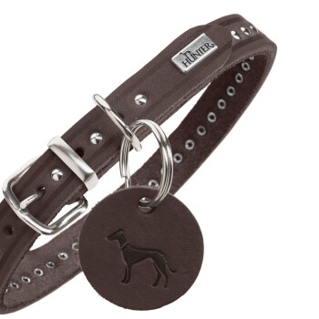 Brauner Lederhundehalsband mit silbernen Nieten, mit einer Metallschnalle und einem runden Anhänger, der mit einer Hundesilhouette geprägt ist.